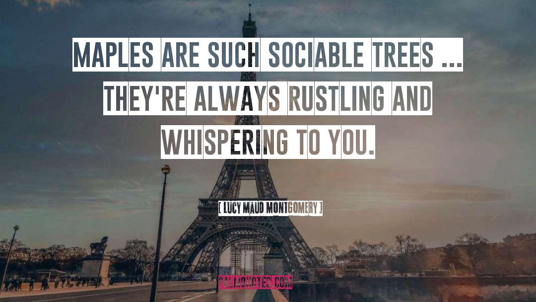 Lucy Maud Montgomery Quotes: Maples are such sociable trees