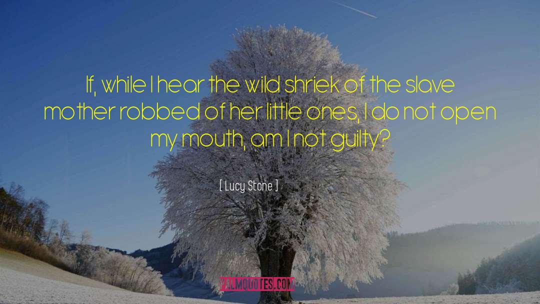 Lucy Stone Quotes: If, while I hear the