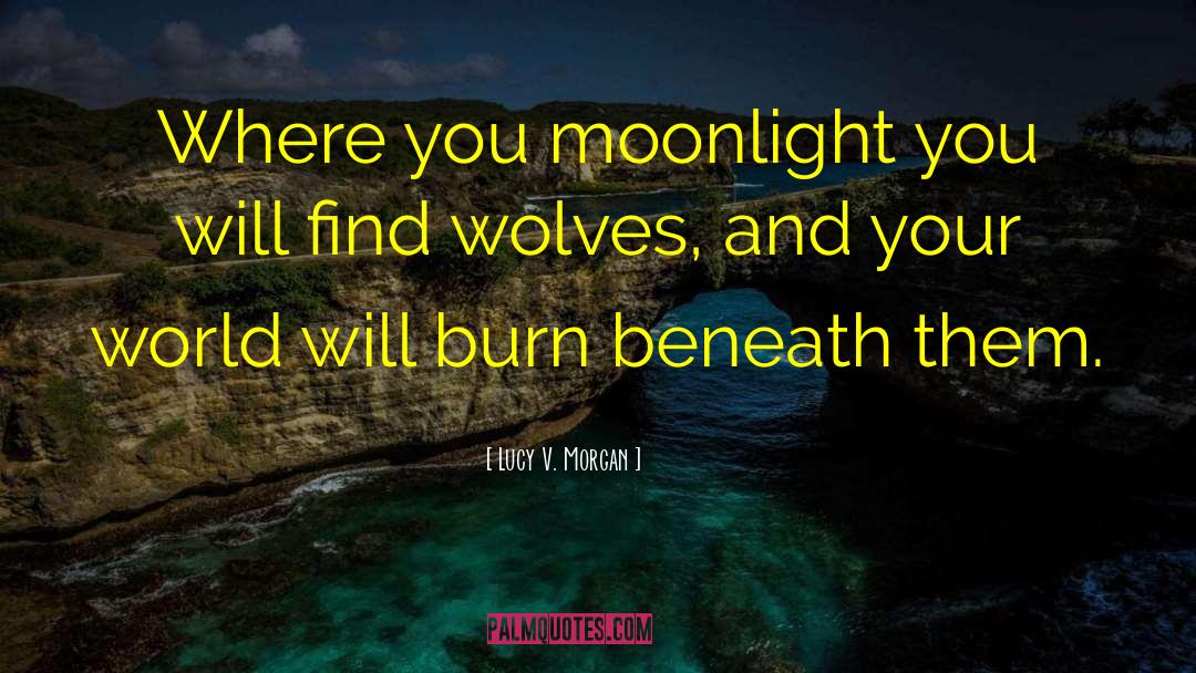 Lucy V. Morgan Quotes: Where you moonlight you will