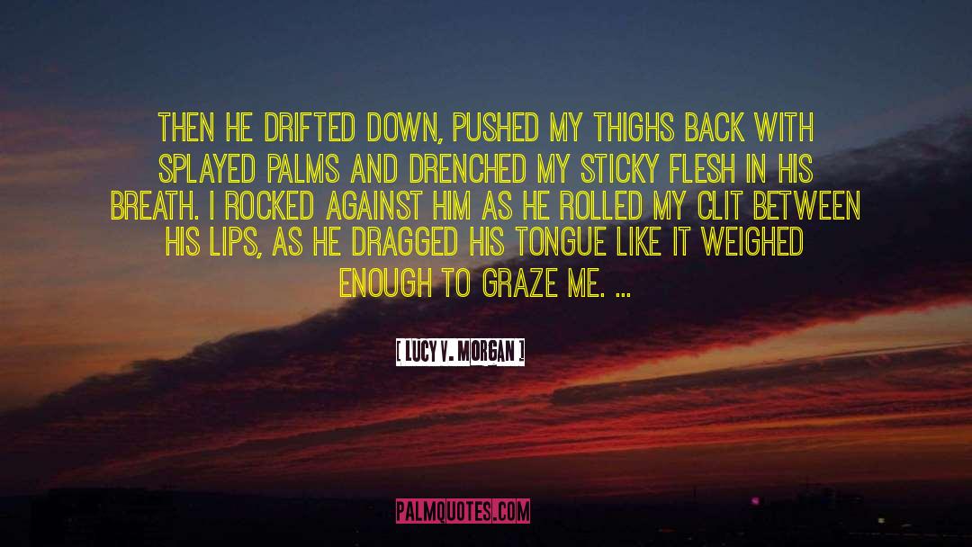 Lucy V. Morgan Quotes: Then he drifted down, pushed