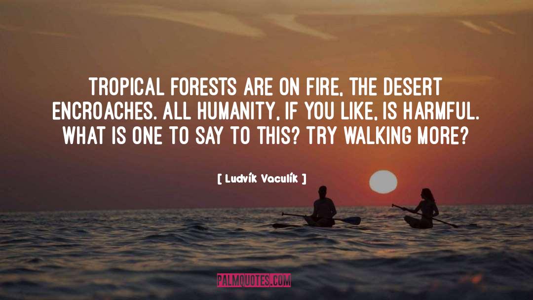 Ludvík Vaculík Quotes: Tropical forests are on fire,