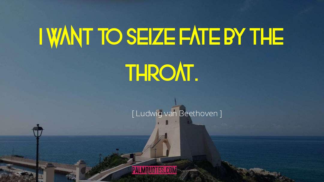 Ludwig Van Beethoven Quotes: I want to seize fate