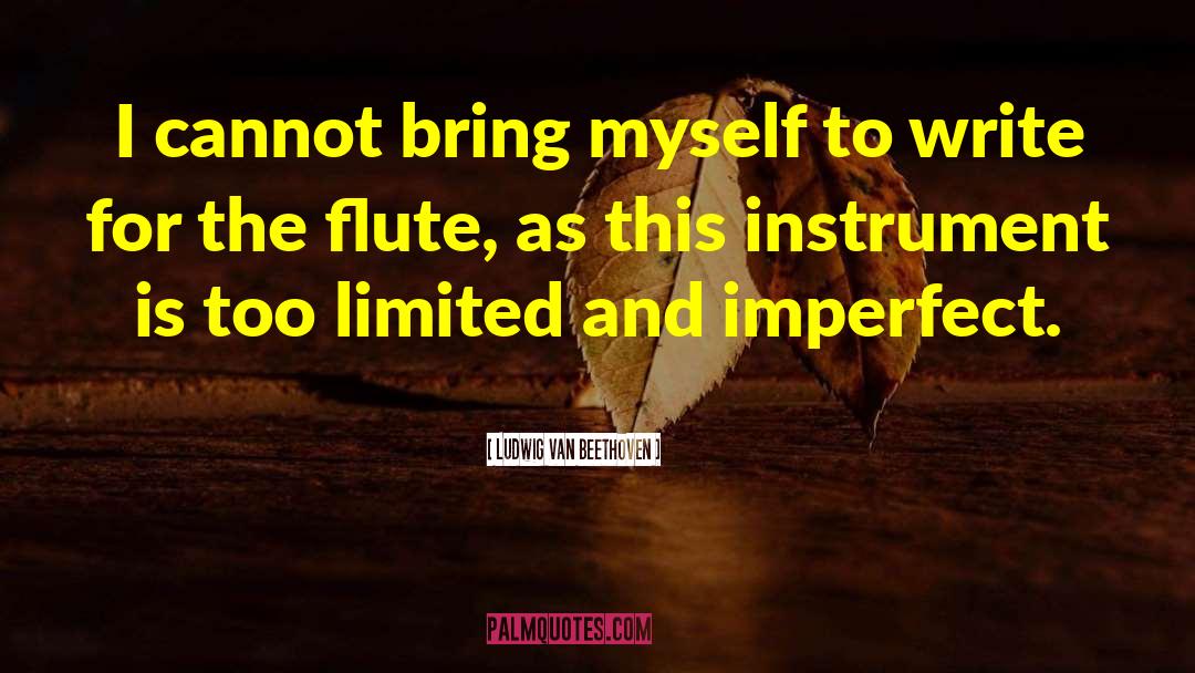Ludwig Van Beethoven Quotes: I cannot bring myself to