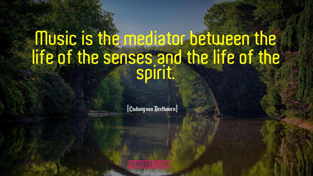 Ludwig Van Beethoven Quotes: Music is the mediator between