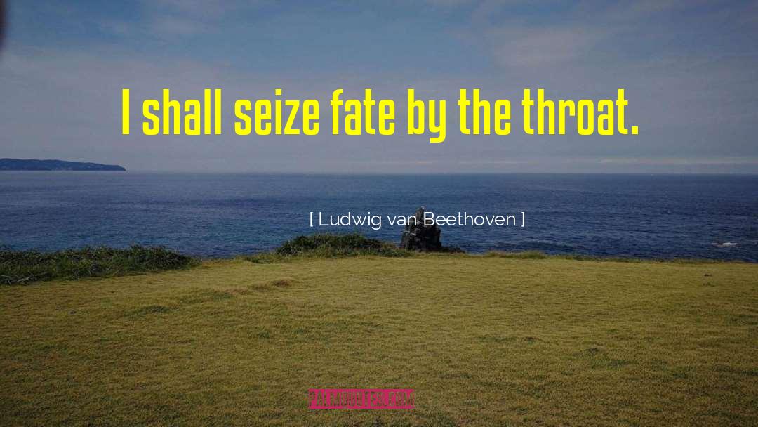 Ludwig Van Beethoven Quotes: I shall seize fate by