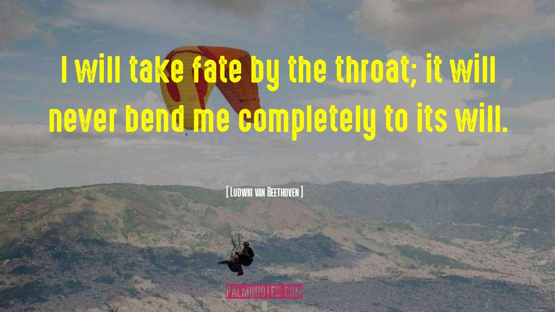 Ludwig Van Beethoven Quotes: I will take fate by