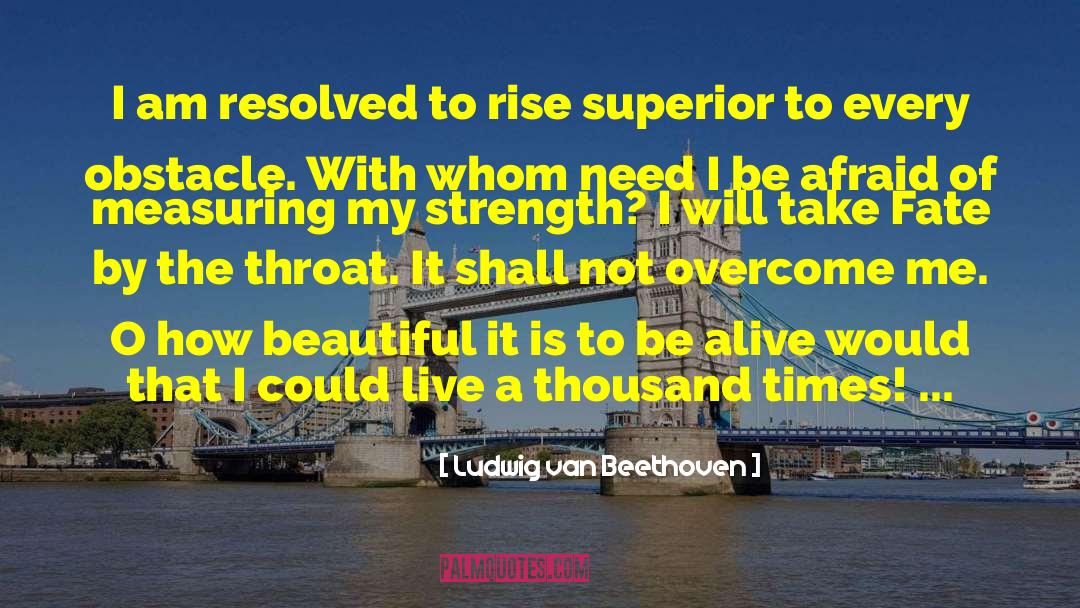 Ludwig Van Beethoven Quotes: I am resolved to rise