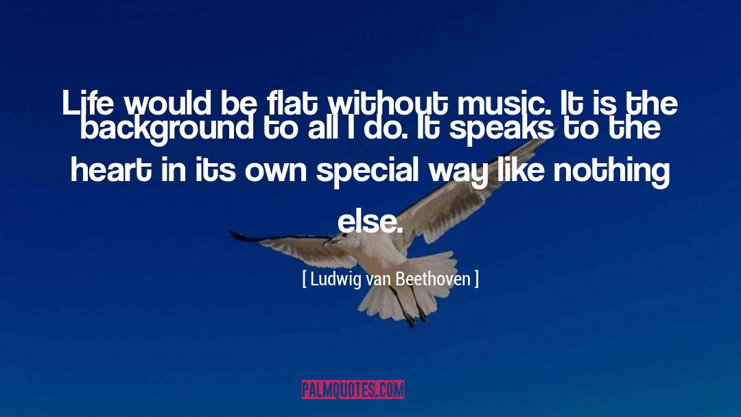 Ludwig Van Beethoven Quotes: Life would be flat without