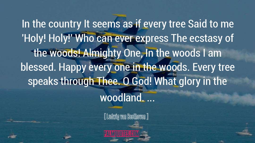 Ludwig Van Beethoven Quotes: In the country It seems