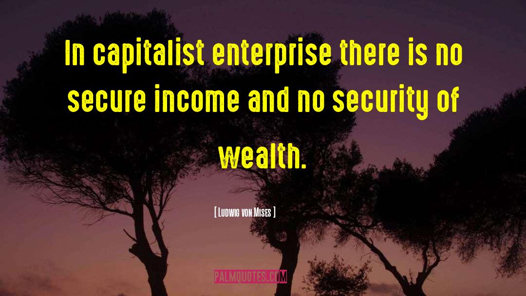 Ludwig Von Mises Quotes: In capitalist enterprise there is