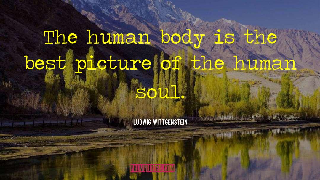 Ludwig Wittgenstein Quotes: The human body is the