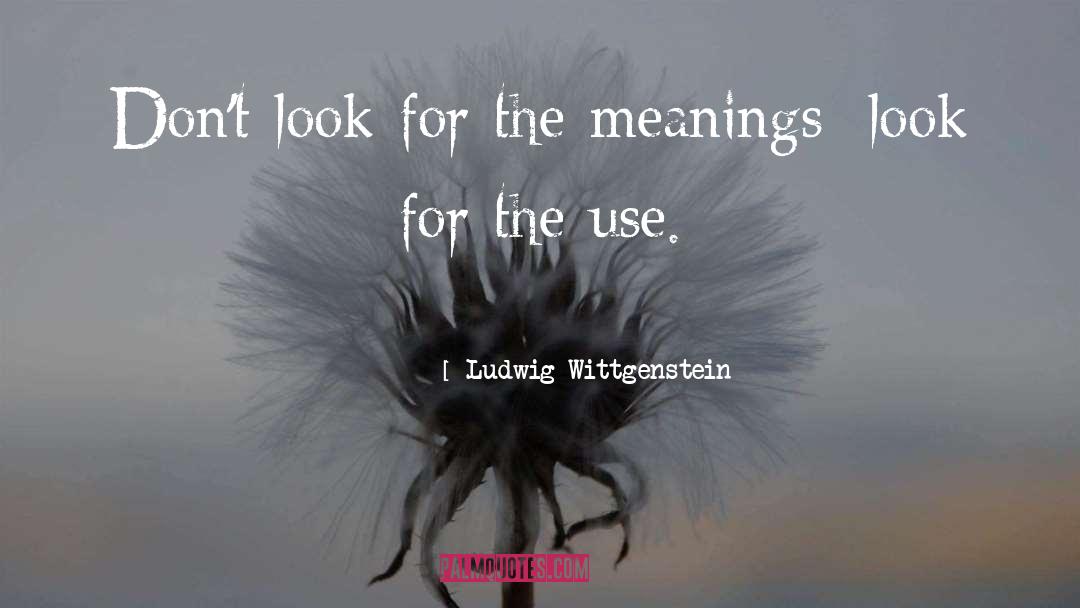 Ludwig Wittgenstein Quotes: Don't look for the meanings;