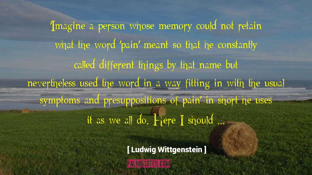 Ludwig Wittgenstein Quotes: 'Imagine a person whose memory