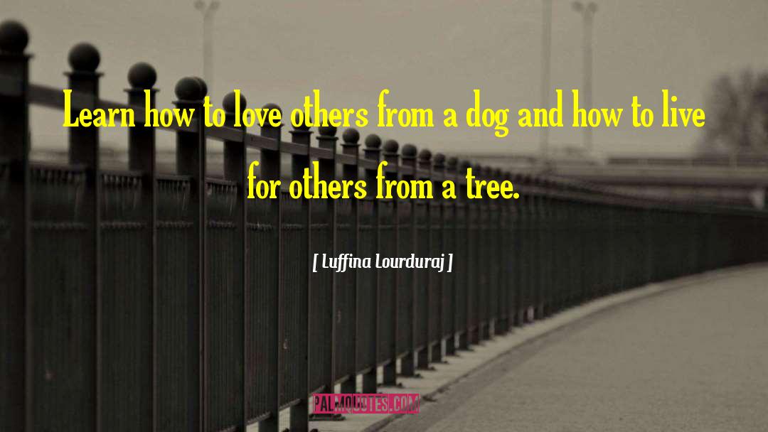 Luffina Lourduraj Quotes: Learn how to love others