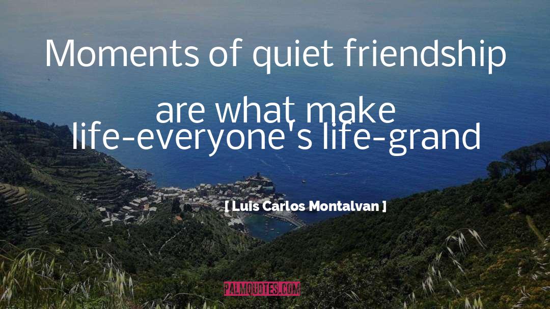 Luis Carlos Montalvan Quotes: Moments of quiet friendship are