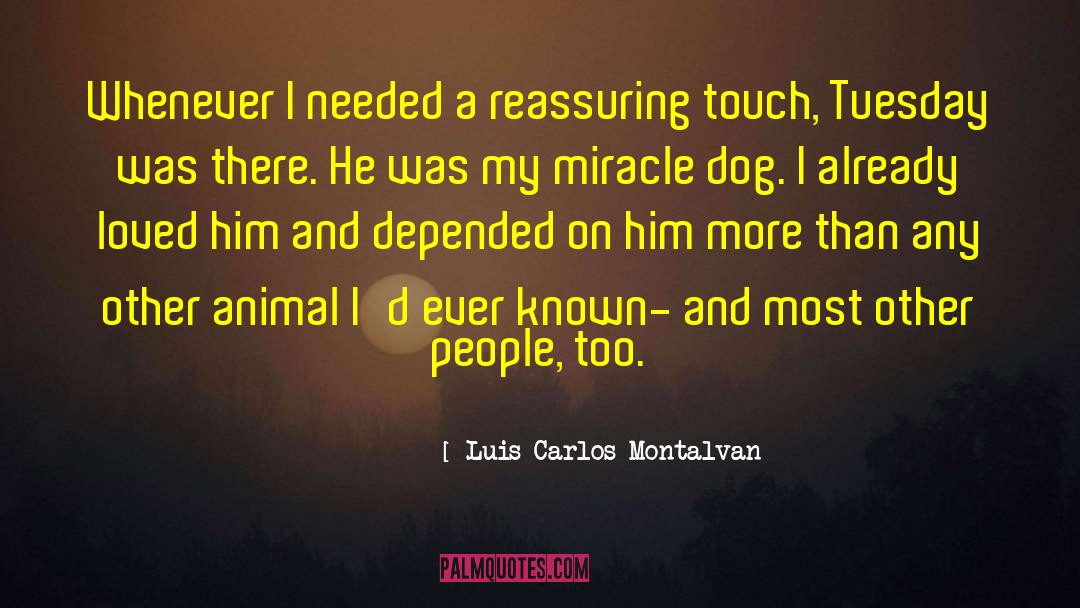 Luis Carlos Montalvan Quotes: Whenever I needed a reassuring