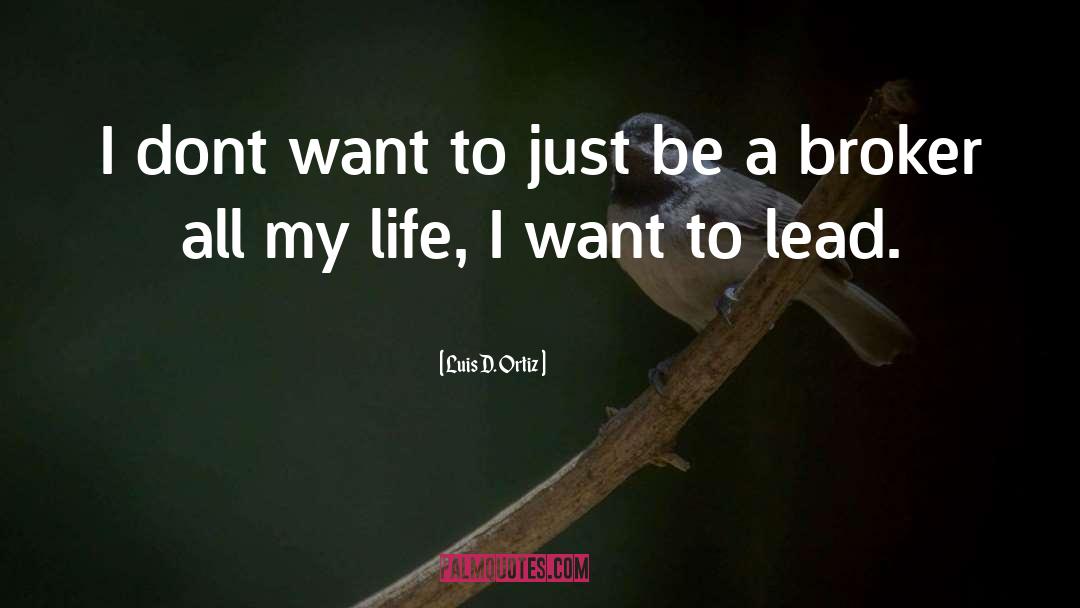 Luis D. Ortiz Quotes: I dont want to just