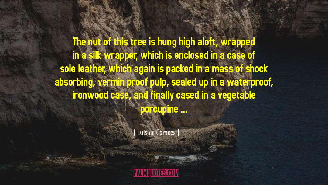 Luis De Camoes Quotes: The nut of this tree
