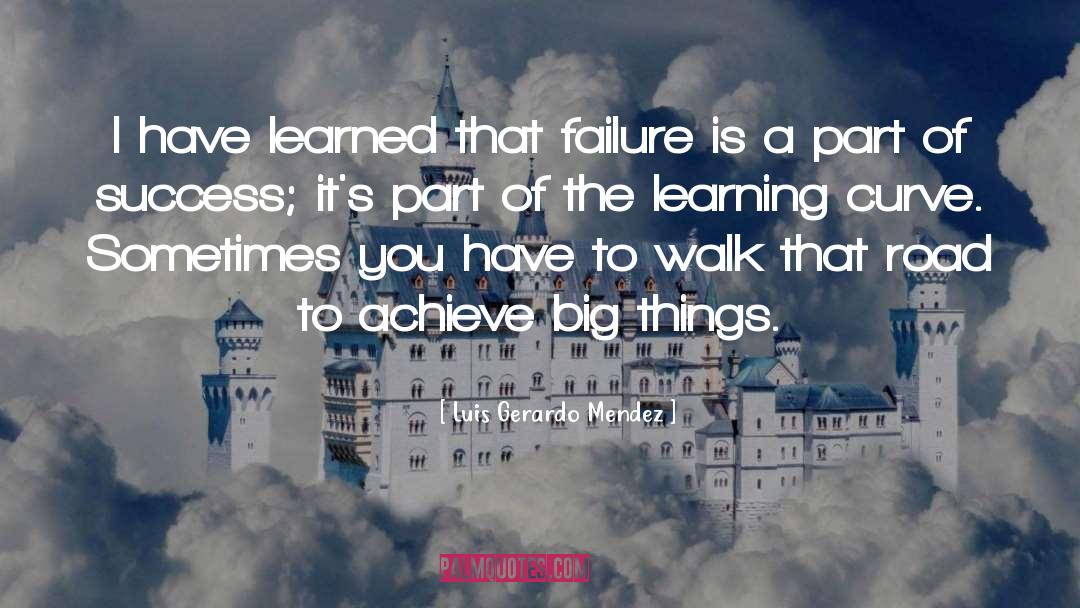 Luis Gerardo Mendez Quotes: I have learned that failure