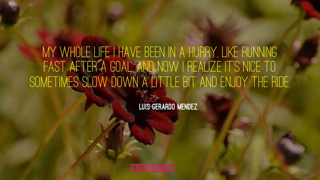 Luis Gerardo Mendez Quotes: My whole life I have