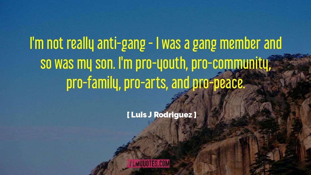 Luis J Rodriguez Quotes: I'm not really anti-gang -