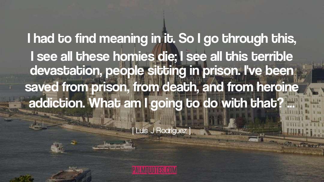 Luis J Rodriguez Quotes: I had to find meaning