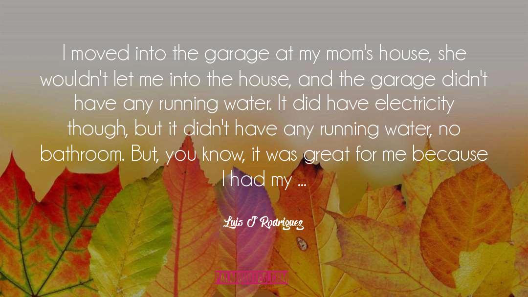 Luis J Rodriguez Quotes: I moved into the garage