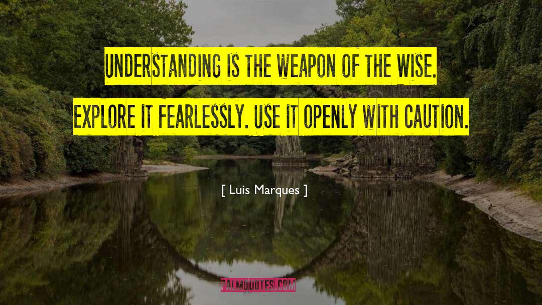 Luis Marques Quotes: Understanding is the weapon of