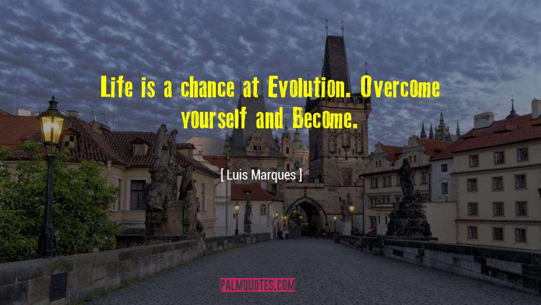 Luis Marques Quotes: Life is a chance at