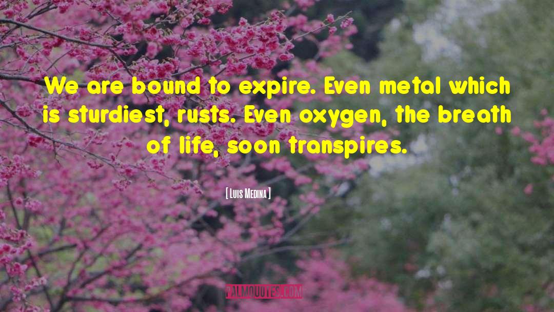 Luis Medina Quotes: We are bound to expire.