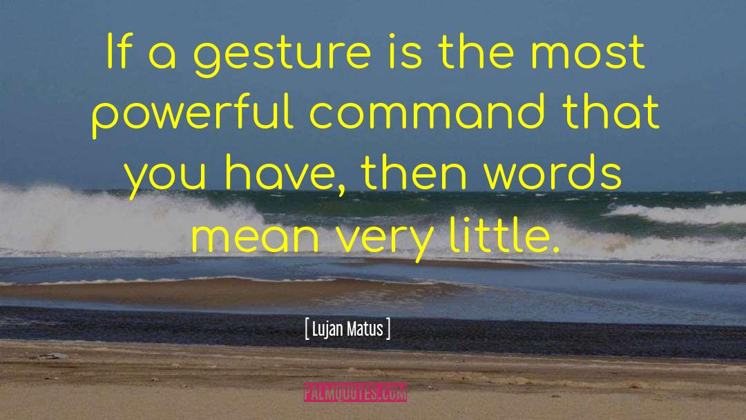 Lujan Matus Quotes: If a gesture is the