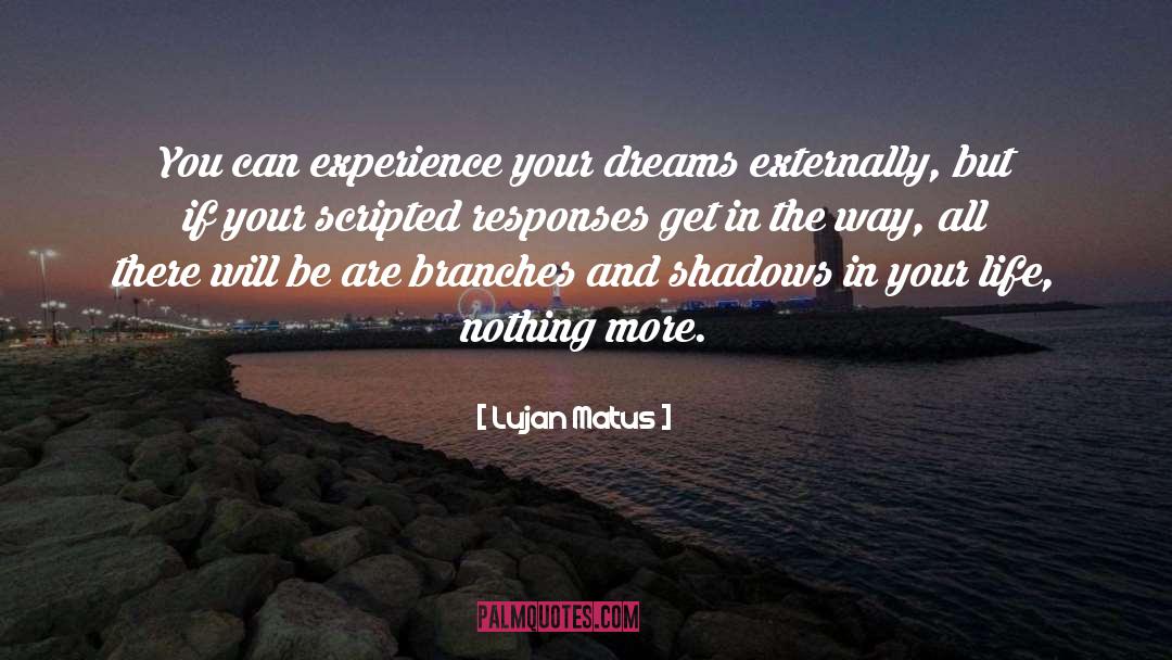 Lujan Matus Quotes: You can experience your dreams