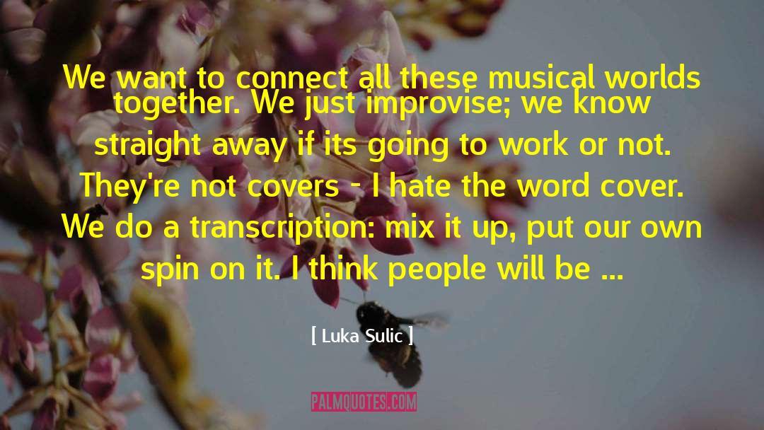 Luka Sulic Quotes: We want to connect all