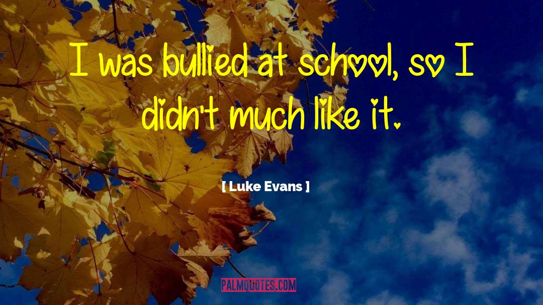 Luke Evans Quotes: I was bullied at school,