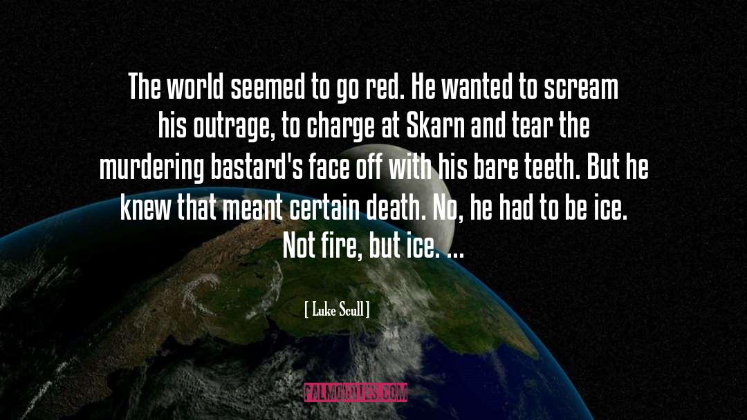 Luke Scull Quotes: The world seemed to go