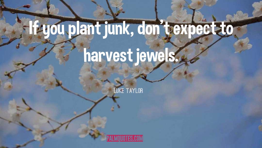 Luke Taylor Quotes: If you plant junk, don't