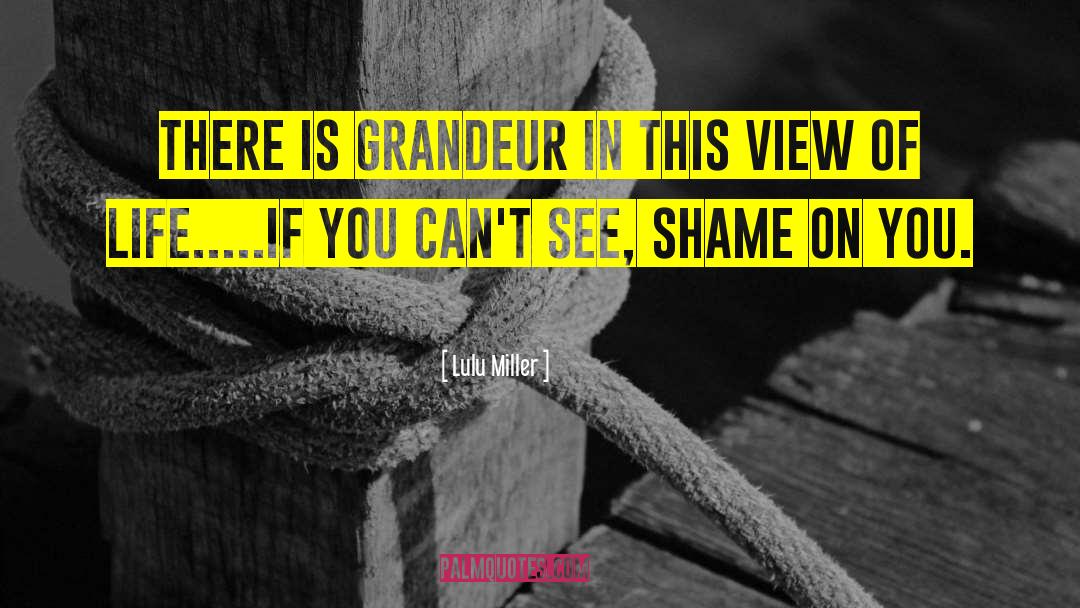 Lulu Miller Quotes: There is grandeur in this