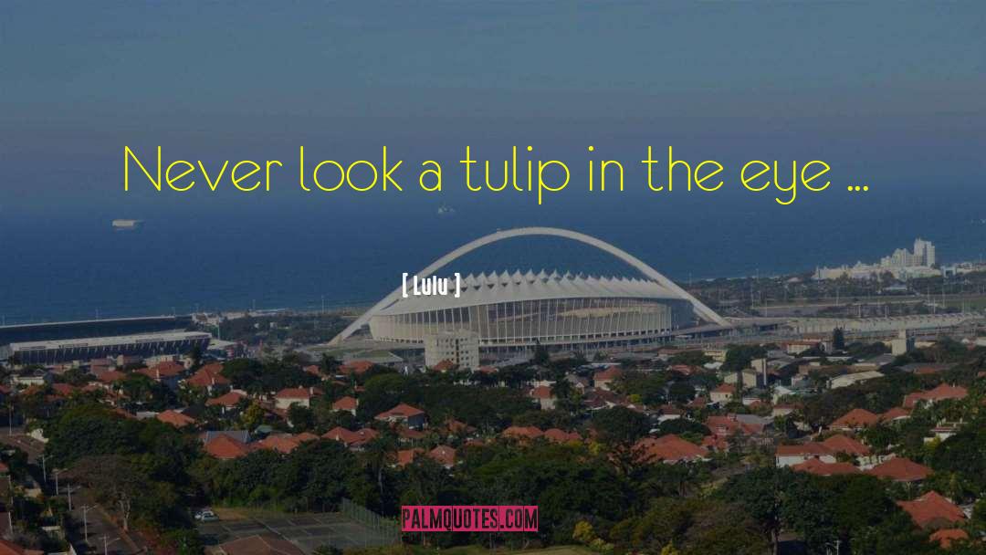 Lulu Quotes: Never look a tulip in