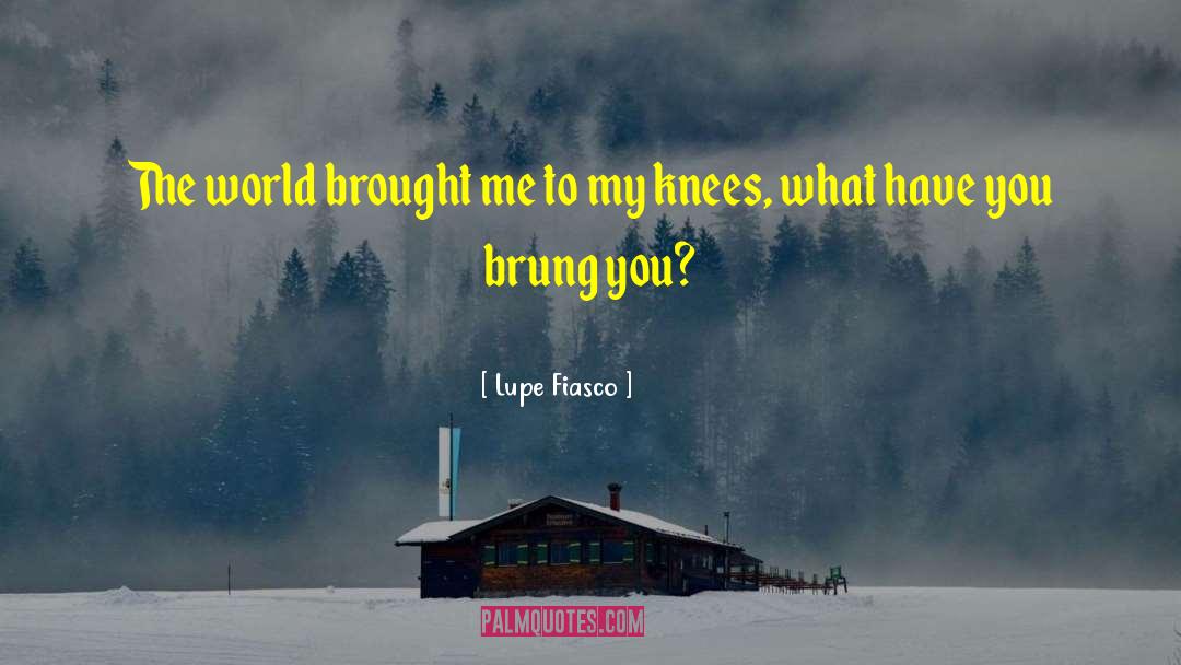 Lupe Fiasco Quotes: The world brought me to