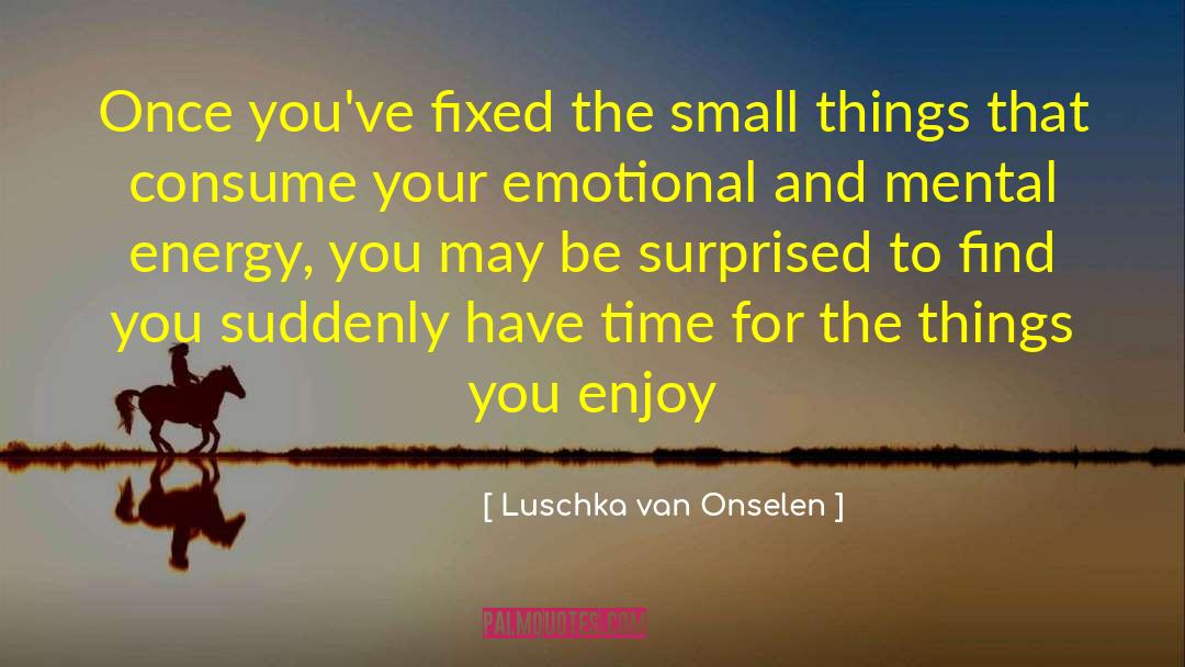 Luschka Van Onselen Quotes: Once you've fixed the small