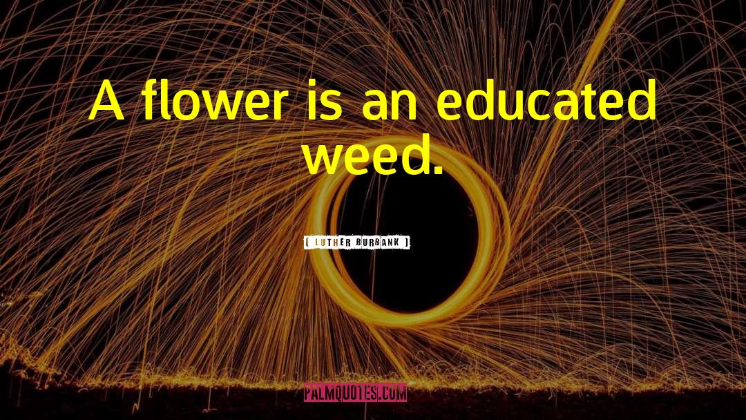 Luther Burbank Quotes: A flower is an educated