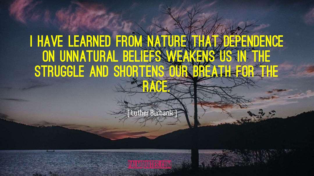 Luther Burbank Quotes: I have learned from Nature