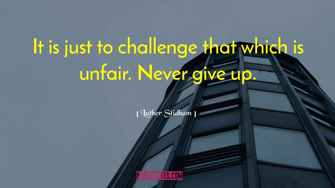Luther Stidham Quotes: It is just to challenge