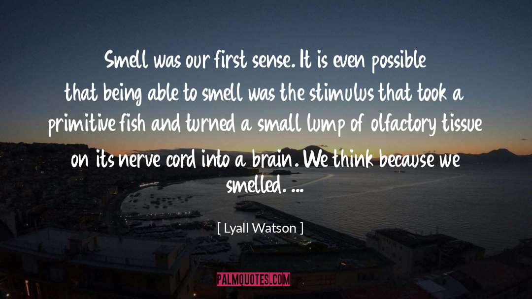 Lyall Watson Quotes: Smell was our first sense.