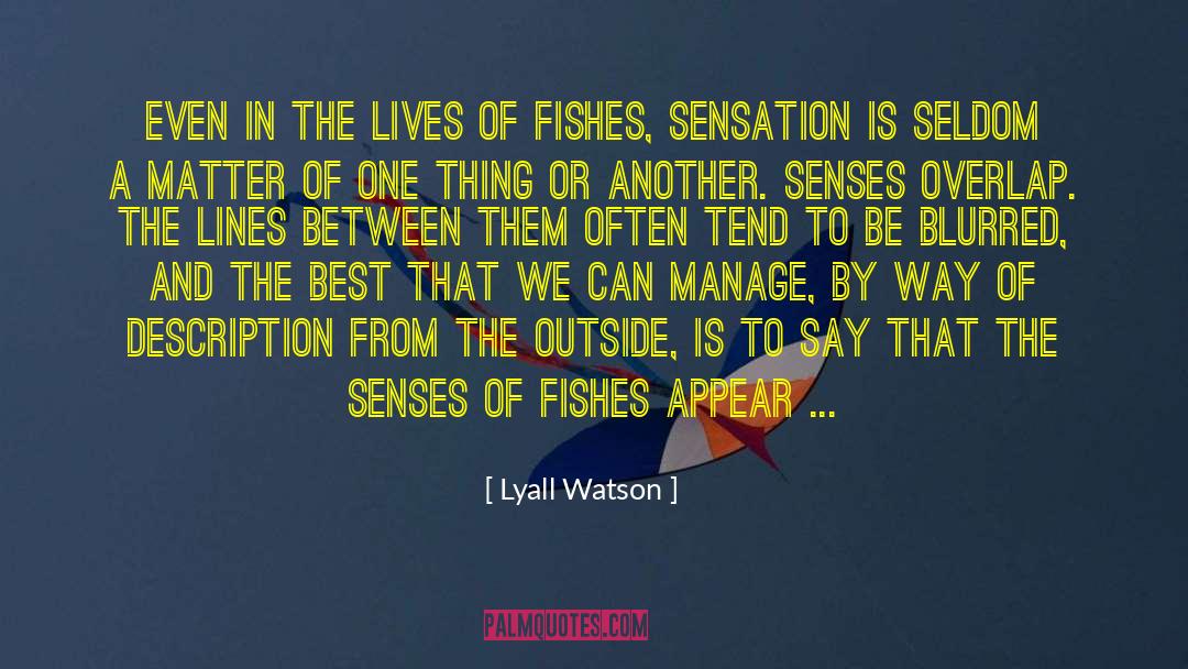 Lyall Watson Quotes: Even in the lives of
