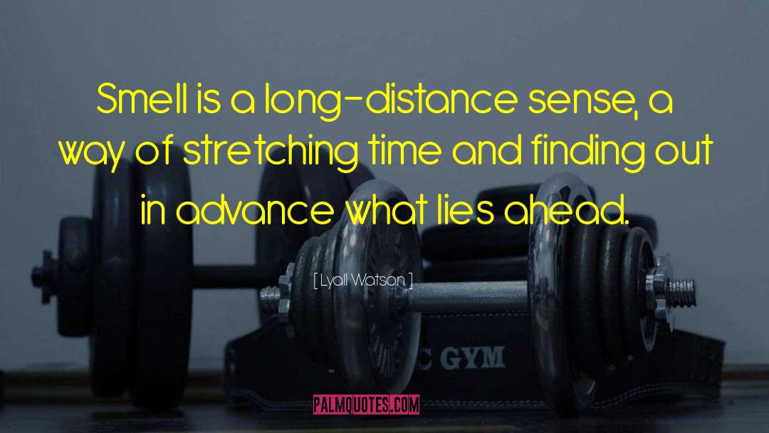 Lyall Watson Quotes: Smell is a long-distance sense,