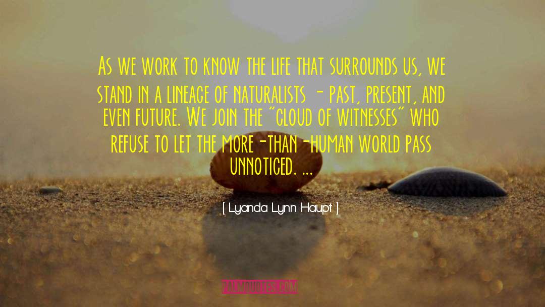 Lyanda Lynn Haupt Quotes: As we work to know