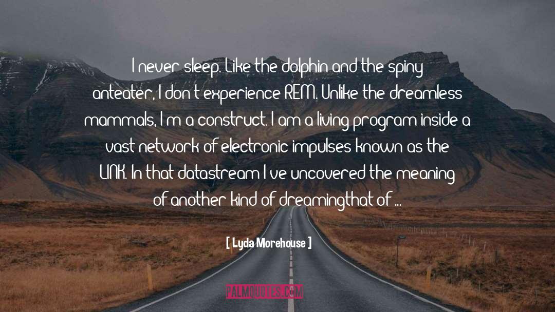 Lyda Morehouse Quotes: I never sleep. Like the