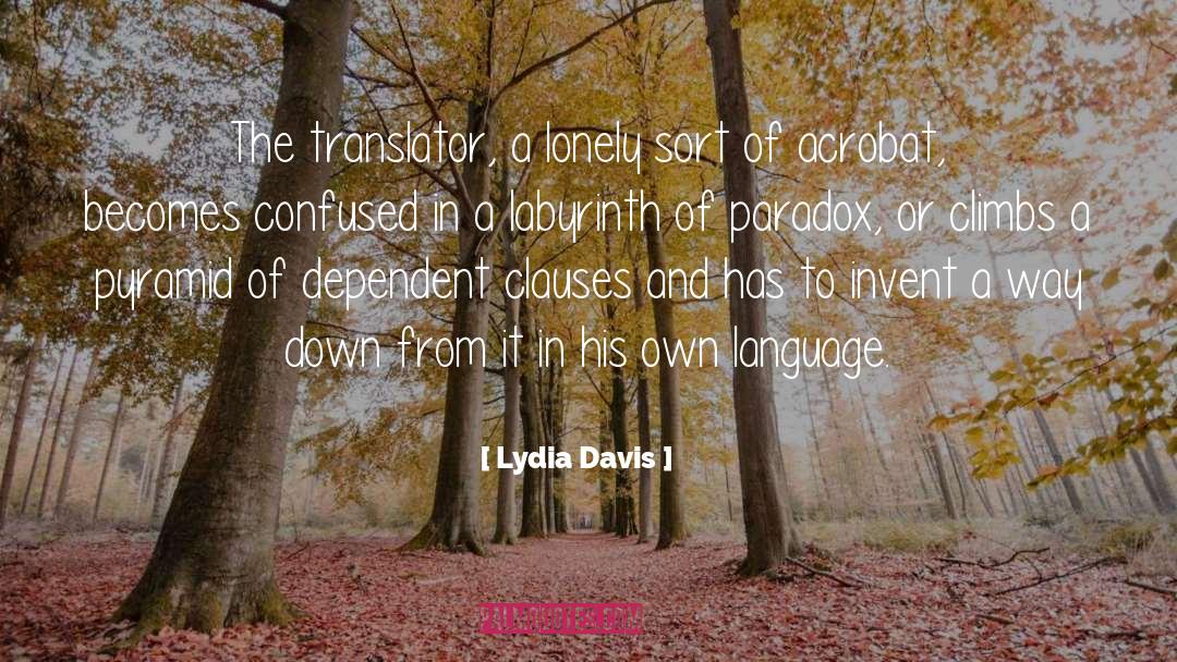 Lydia Davis Quotes: The translator, a lonely sort