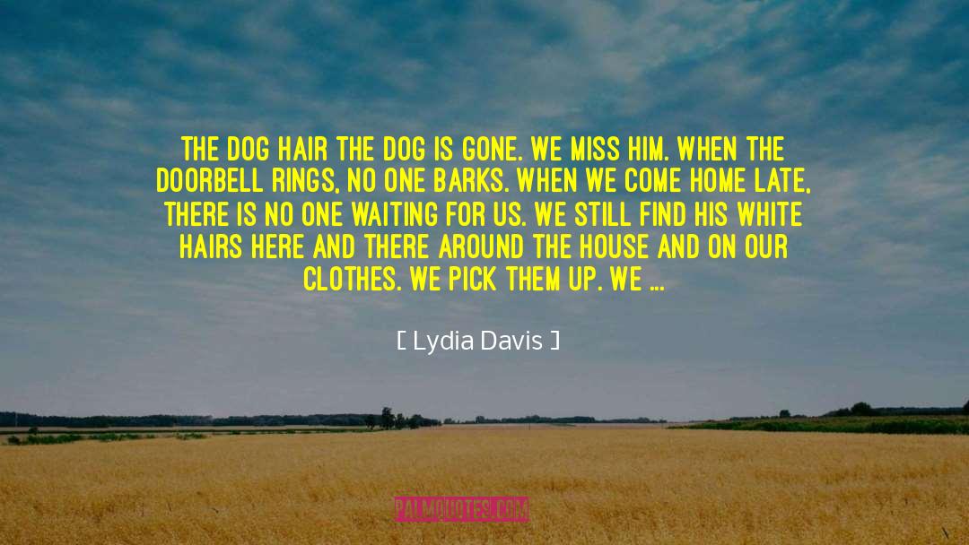 Lydia Davis Quotes: The Dog Hair The dog